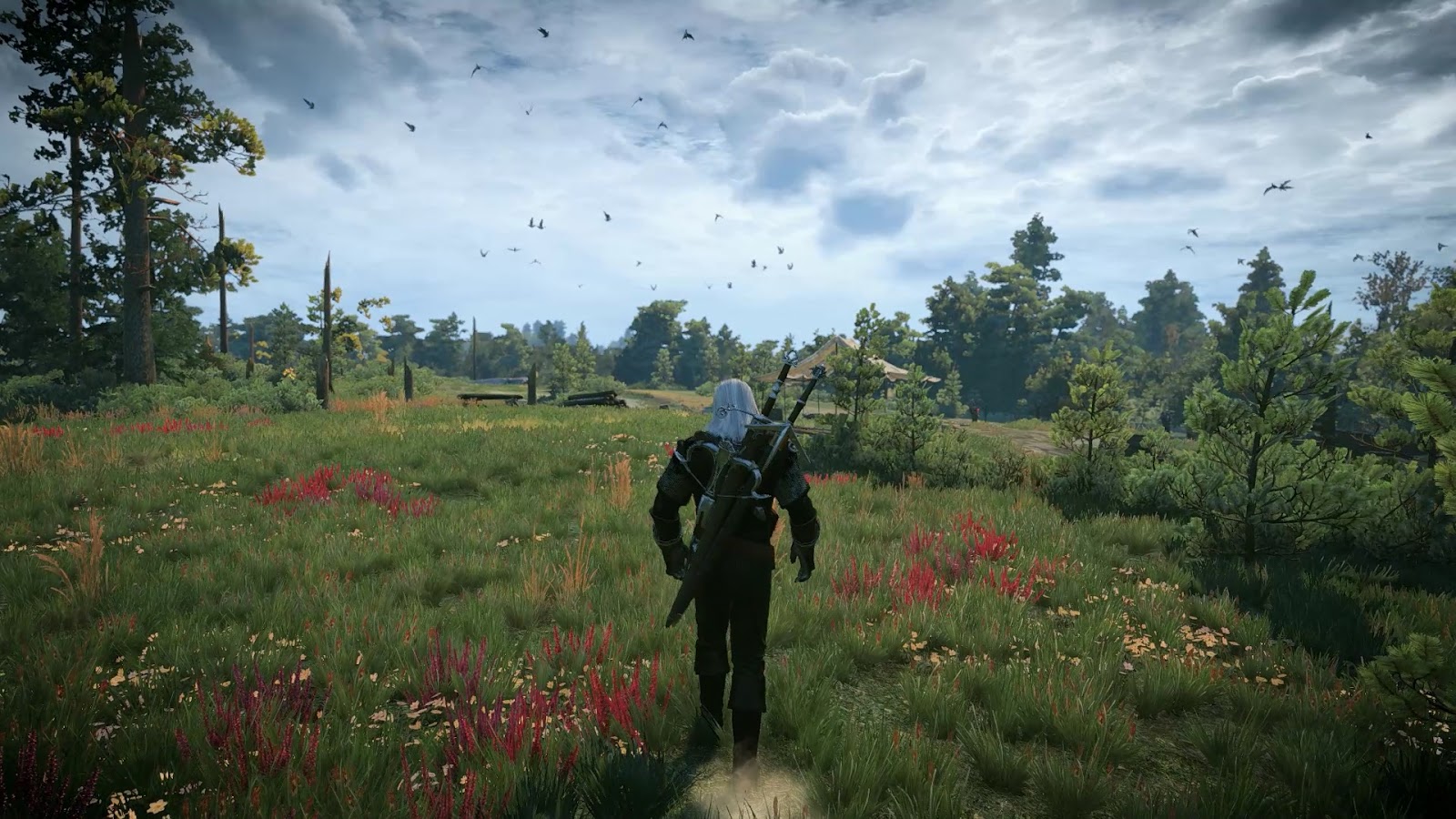 Ведьмак 3 генерация кадров. Ведьмак 3 скрины. Ведьмак 3 генерация кадров. Ведьмак 2 depth of field. Ведьмак 3 игра.